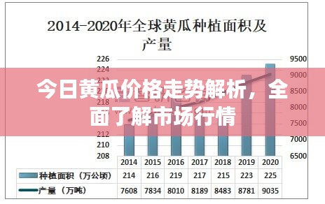 今日黄瓜价格走势解析，全面了解市场行情