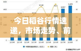 今日稻谷行情速递，市场走势、前景展望一网打尽