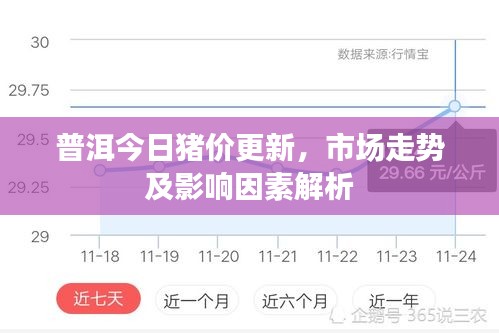 普洱今日猪价更新，市场走势及影响因素解析