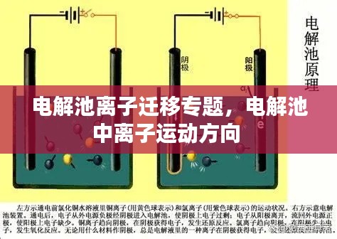 电解池离子迁移专题，电解池中离子运动方向 