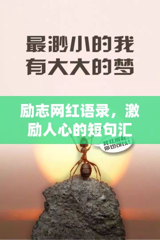 励志网红语录，激励人心的短句汇总