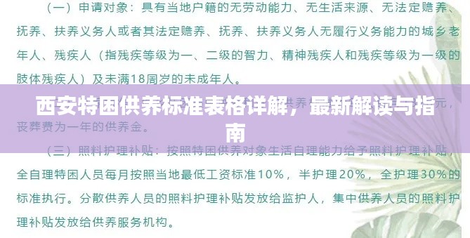 西安特困供养标准表格详解，最新解读与指南