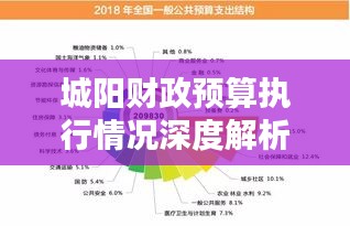 城阳财政预算执行情况深度解析，数据背后的真相揭秘
