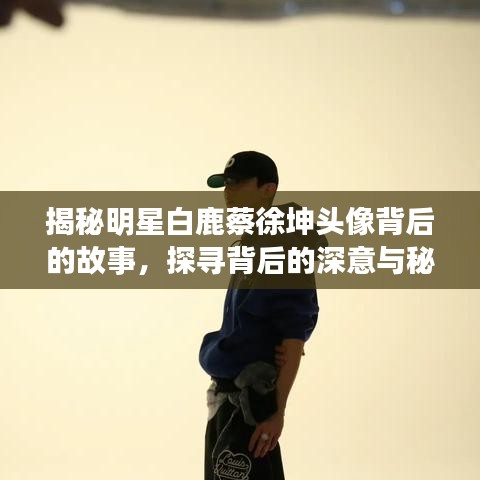 揭秘明星白鹿蔡徐坤头像背后的故事，探寻背后的深意与秘密！