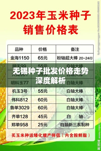 无锡种子批发价格走势深度解析