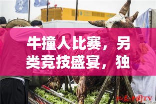 牛撞人比赛，另类竞技盛宴，独特活动抢先看！