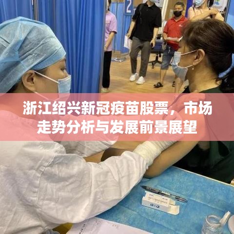浙江绍兴新冠疫苗股票，市场走势分析与发展前景展望
