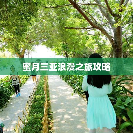 蜜月三亚浪漫之旅攻略