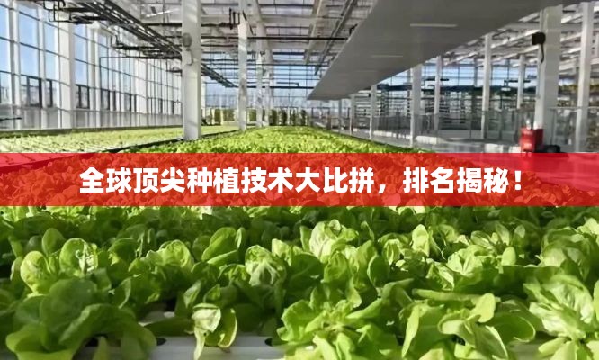 全球顶尖种植技术大比拼，排名揭秘！