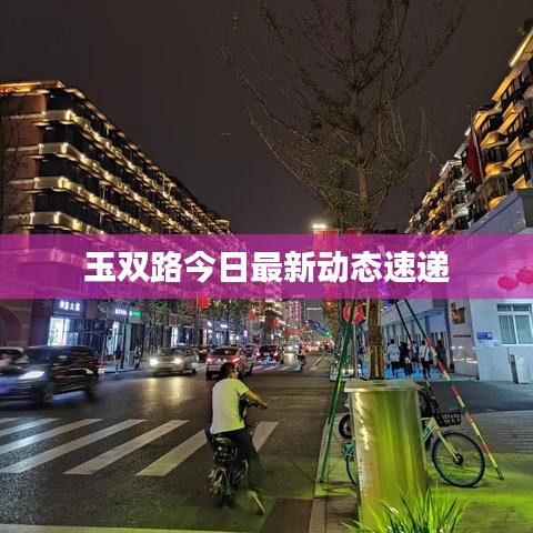 玉双路今日最新动态速递