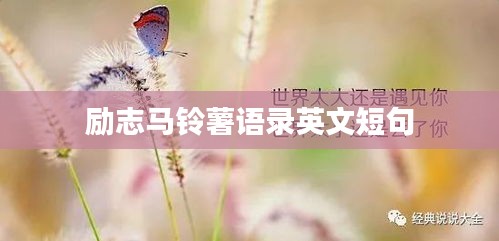 励志马铃薯语录英文短句