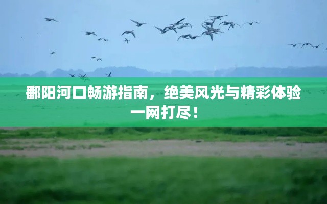鄱阳河口畅游指南，绝美风光与精彩体验一网打尽！