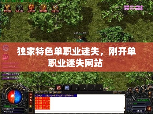独家特色单职业迷失，刚开单职业迷失网站 