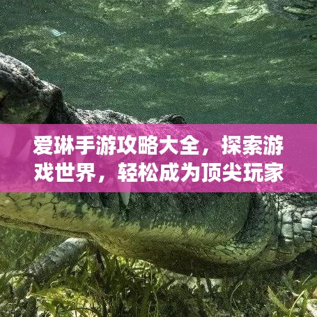 爱琳手游攻略大全，探索游戏世界，轻松成为顶尖玩家