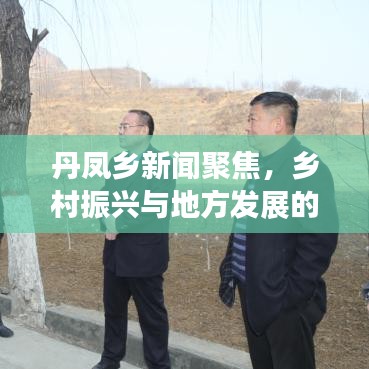 丹凤乡新闻聚焦，乡村振兴与地方发展的崭新篇章