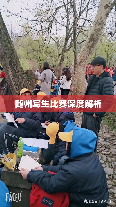 随州写生比赛深度解析