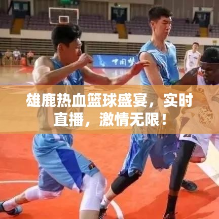 雄鹿热血篮球盛宴，实时直播，激情无限！