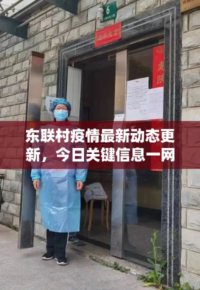东联村疫情最新动态更新，今日关键信息一网打尽！