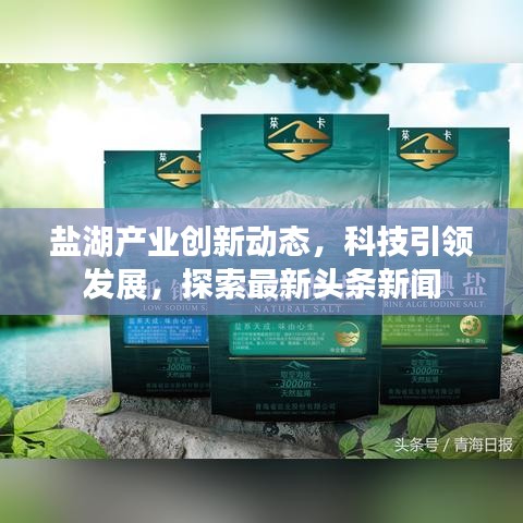 盐湖产业创新动态，科技引领发展，探索最新头条新闻