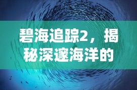 碧海追踪2，揭秘深邃海洋的未知奥秘！