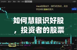 如何慧眼识好股，投资者的股票挑选全攻略