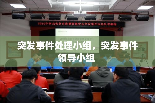 突发事件处理小组，突发事件领导小组 