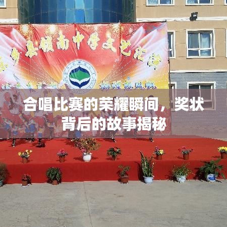 合唱比赛的荣耀瞬间，奖状背后的故事揭秘