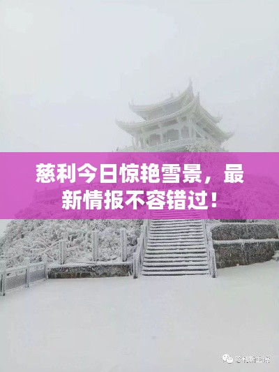 慈利今日惊艳雪景，最新情报不容错过！
