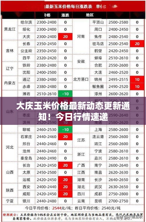 大庆玉米价格最新动态更新通知！今日行情速递