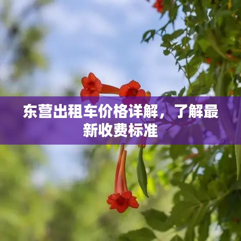 东营出租车价格详解，了解最新收费标准