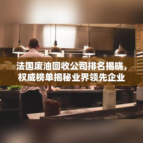 法国废油回收公司排名揭晓，权威榜单揭秘业界领先企业
