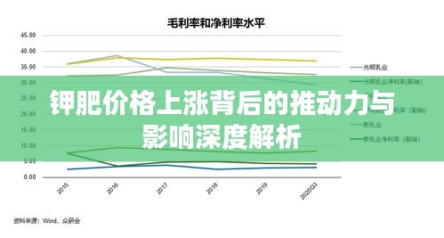 钾肥价格上涨背后的推动力与影响深度解析
