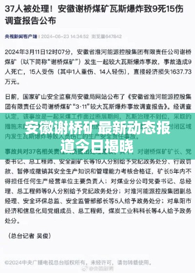 安徽谢桥矿最新动态报道今日揭晓