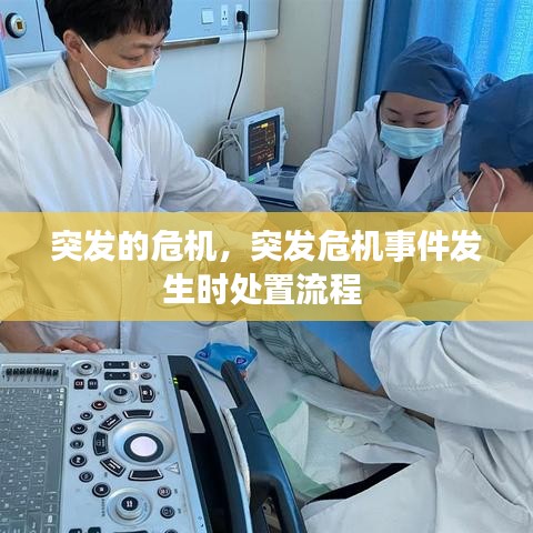 突发的危机，突发危机事件发生时处置流程 