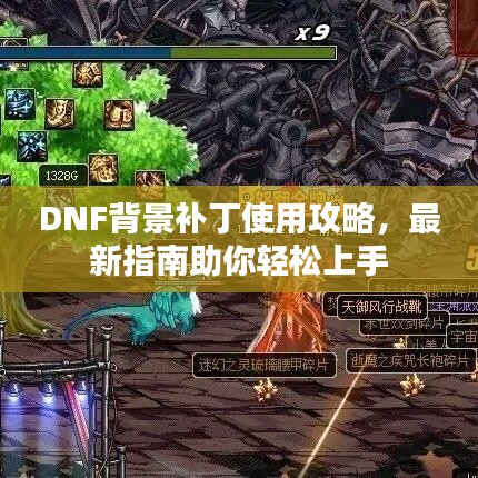DNF背景补丁使用攻略，最新指南助你轻松上手