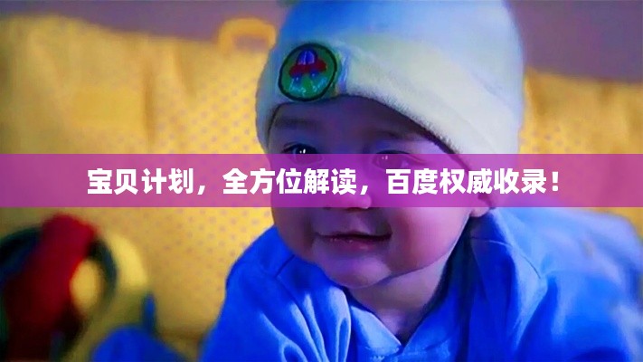 宝贝计划，全方位解读，百度权威收录！