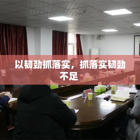 以韧劲抓落实，抓落实韧劲不足 
