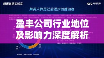 盈丰公司行业地位及影响力深度解析