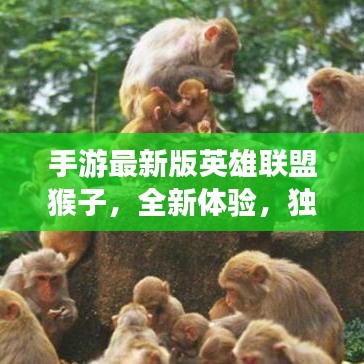 手游最新版英雄联盟猴子，全新体验，独特魅力一网打尽！