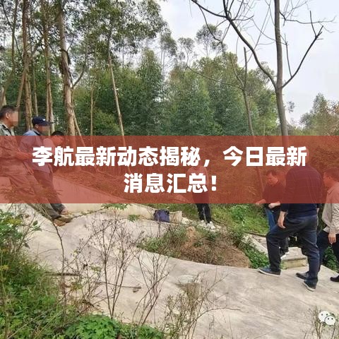 李航最新动态揭秘，今日最新消息汇总！