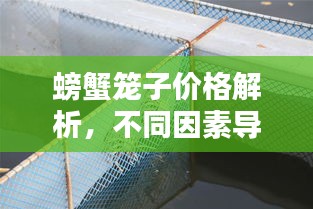 螃蟹笼子价格解析，不同因素导致的价格差异一网打尽