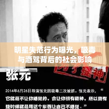 明星失范行为曝光，吸毒与酒驾背后的社会影响
