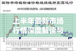 上半年最新市场行情深度解读与分析