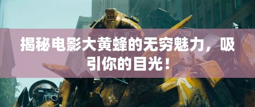 揭秘电影大黄蜂的无穷魅力，吸引你的目光！