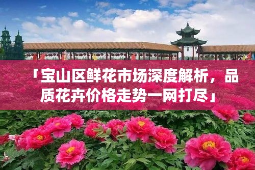 「宝山区鲜花市场深度解析，品质花卉价格走势一网打尽」