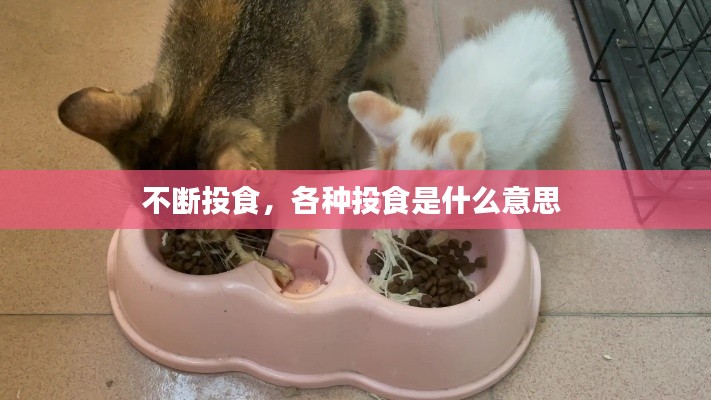 不断投食，各种投食是什么意思 