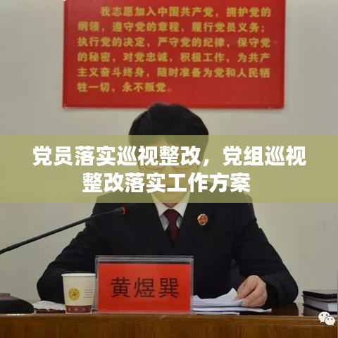 党员落实巡视整改，党组巡视整改落实工作方案 
