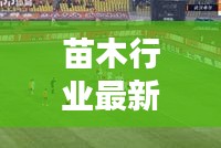 苗木行业最新动态，头条新闻与趋势分析报告