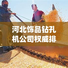河北饰品钻孔机公司权威排名榜单揭晓！