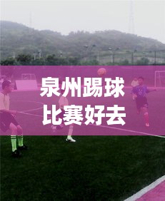 泉州踢球比赛好去处，尽享运动盛宴！